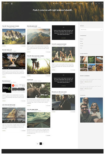 Traditional blog