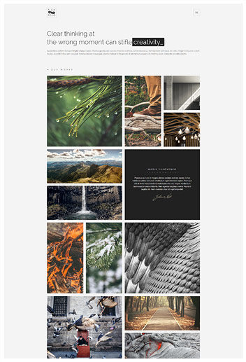 Portfolio boxed