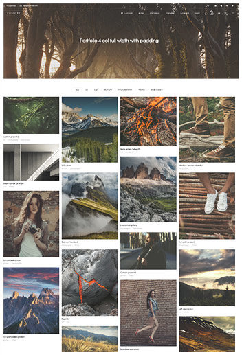 Traditional portfolio